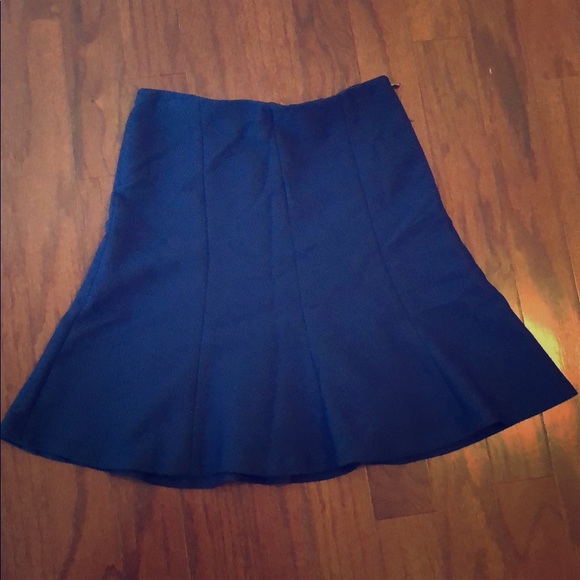 Ann Taylor Dresses & Skirts - Ann Taylor skater skit Ann Taylor Dresses & Skirts - Ann Taylor skater skit